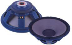 P audio best sale 18 inch speaker